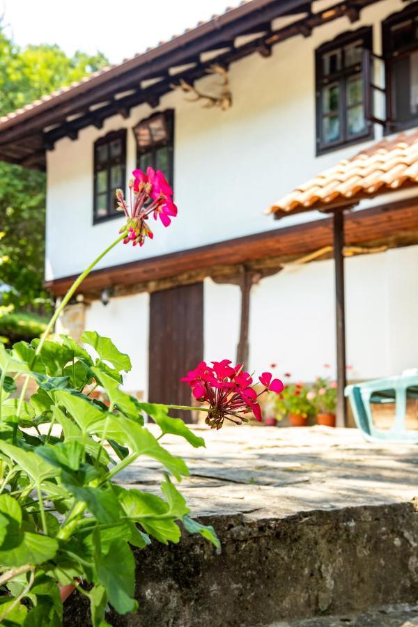 Villa "Суларската Къща" Gabrovo Exterior foto